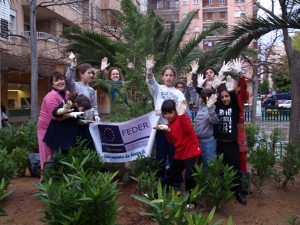 L'arbre un cop sembrat